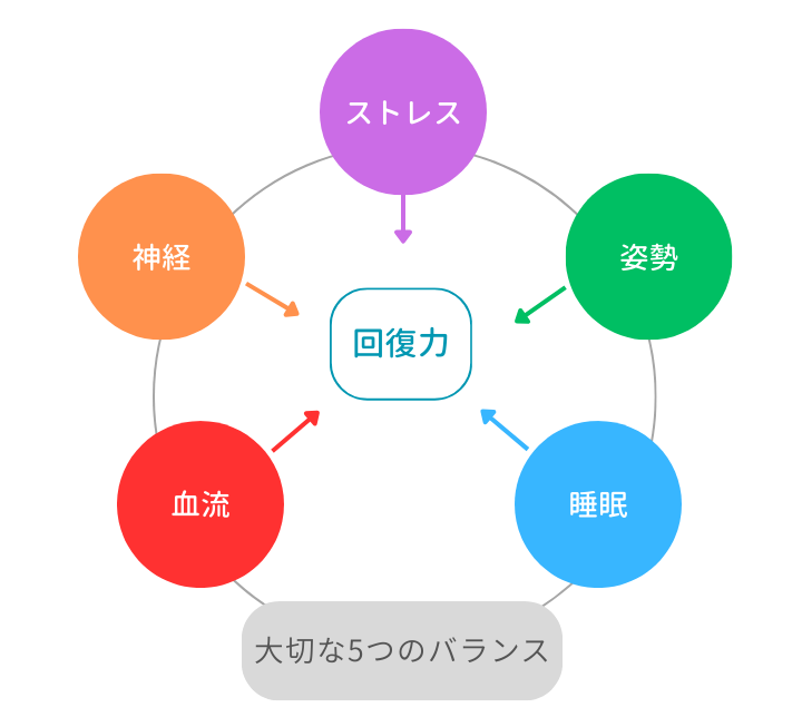 血流、神経、ストレス、姿勢、睡眠が回復力の元