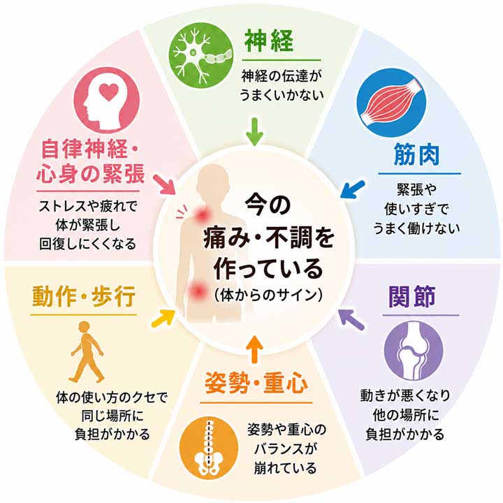 神経、筋肉、関節、自律神経、姿勢・重心、動作・歩行が今の痛み・不調を作っている体からのサイン