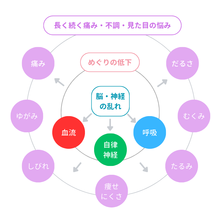 血流、神経、ストレス、姿勢、睡眠が回復力の元