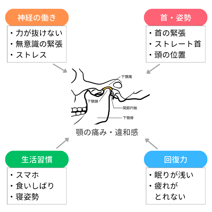 顎関節症は、首・姿勢や神経・緊張、生活習慣、回復力も関係しています