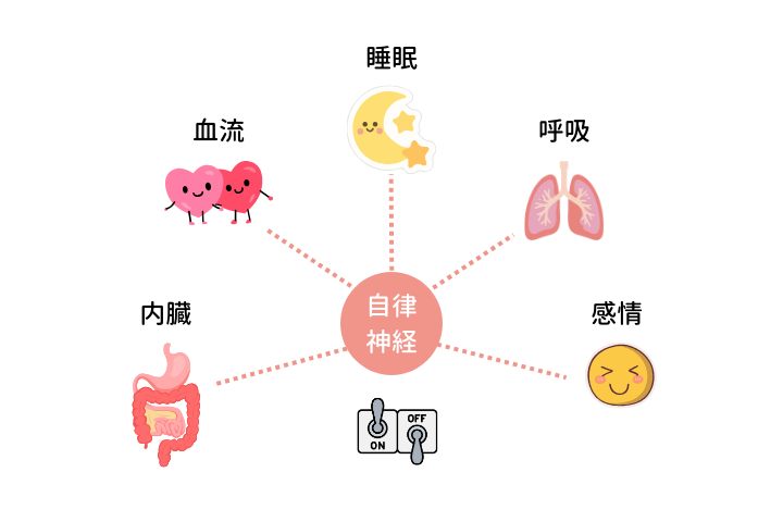 施術室の雰囲気