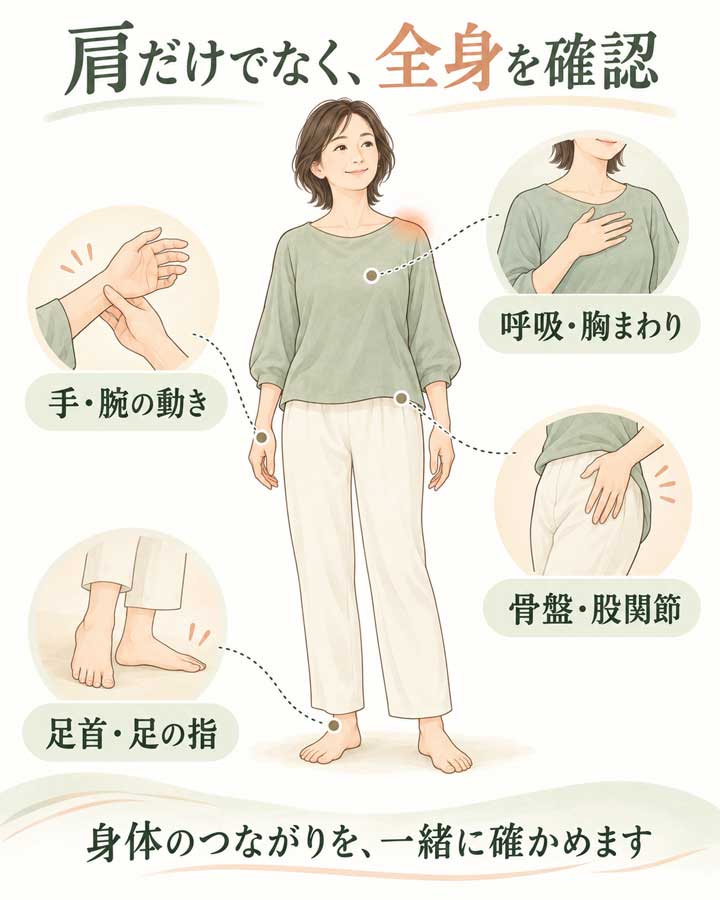 肩だけでなく、呼吸、腕、骨盤、足も確認する