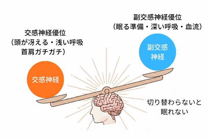 交感神経優位で（頭が冴える・浅い呼吸・首肩ガチガチ）になるイメージ図