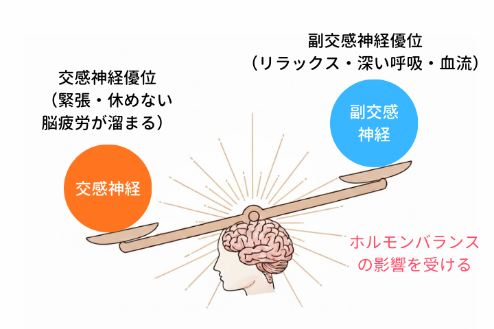 自律神経とホルモンバランス