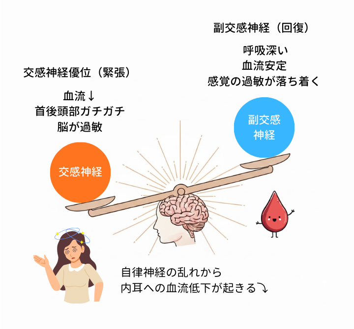 交感神経優位で（血流低下 / 首後頭部ガチガチ / 脳が過敏）になるイメージ図