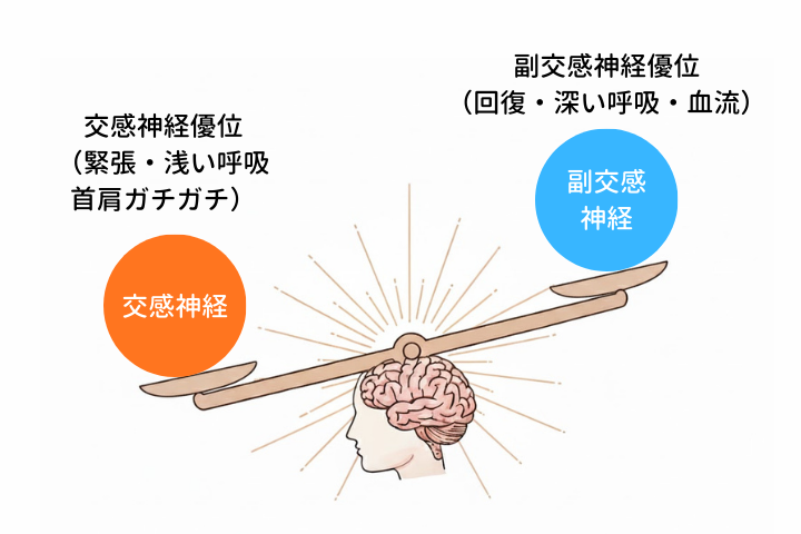 交感神経優位で（緊張・浅い呼吸・首肩ガチガチ）になるイメージ図