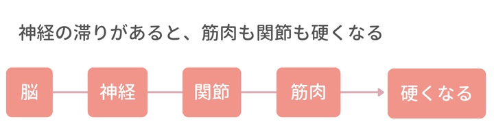 脳→神経→関節→筋肉→硬くなる
