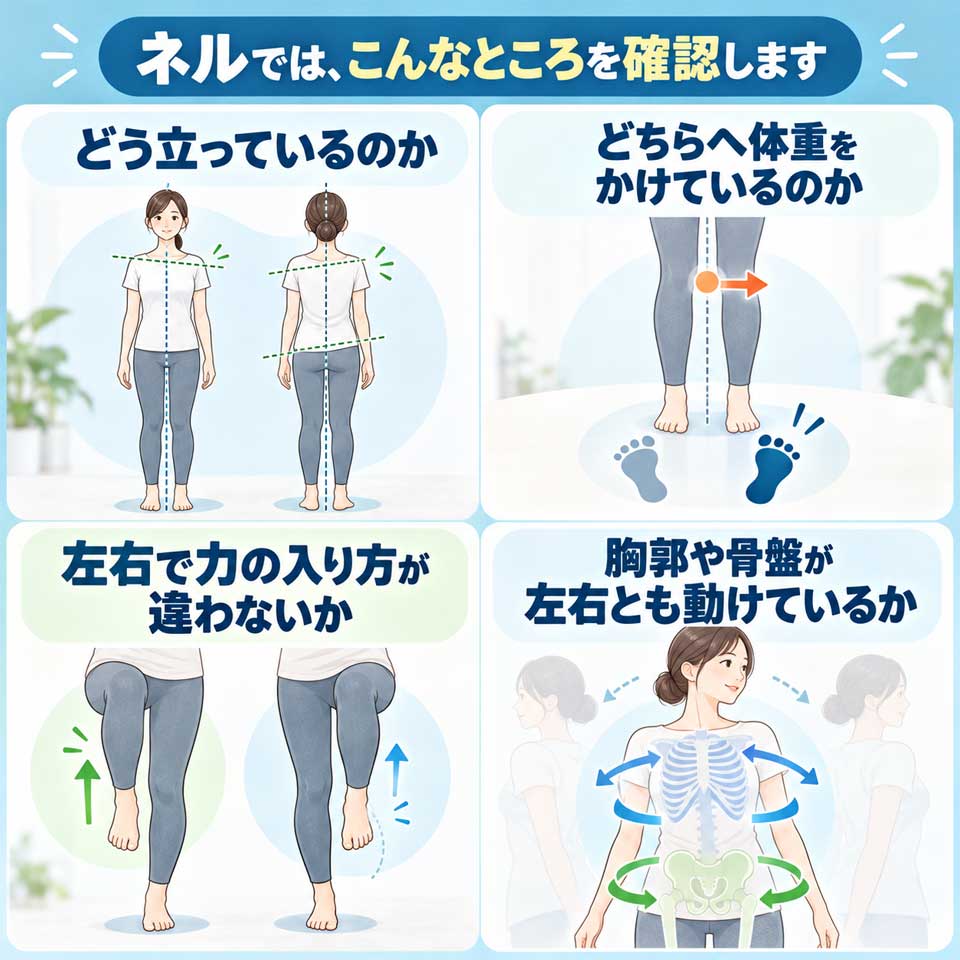 立ち方、体重のかけ方、左右の力の入り方、胸郭や骨盤の動きを確認