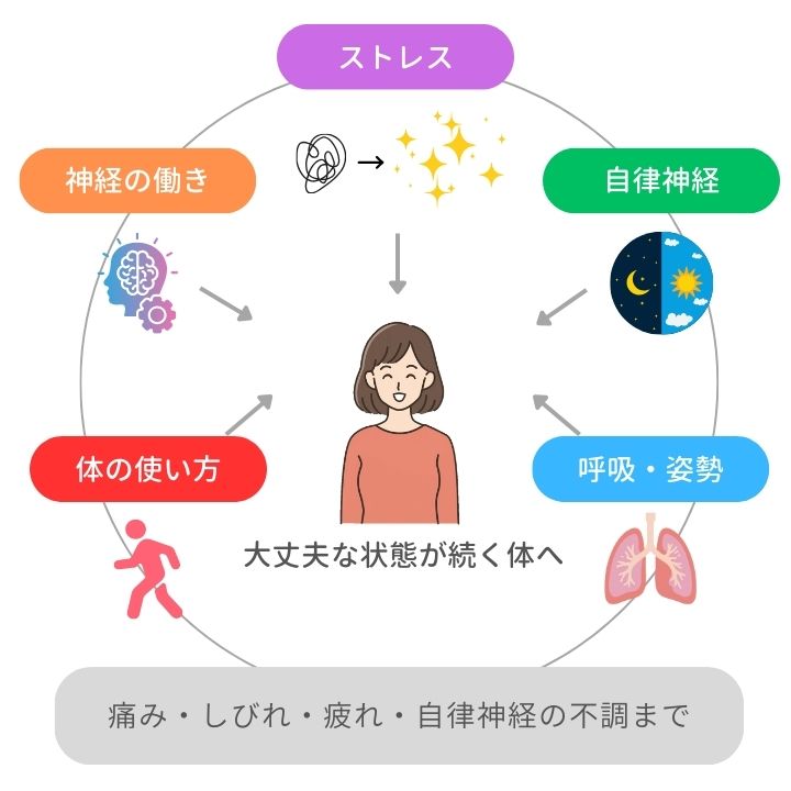 ストレスケア、自律神経ケア、姿勢・呼吸ケア、体の使い方・クセのケア、神経伝達ケアで整える