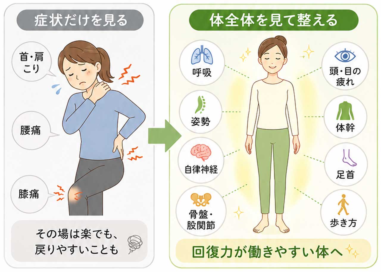 症状だけでなく、全体を見るイメージ