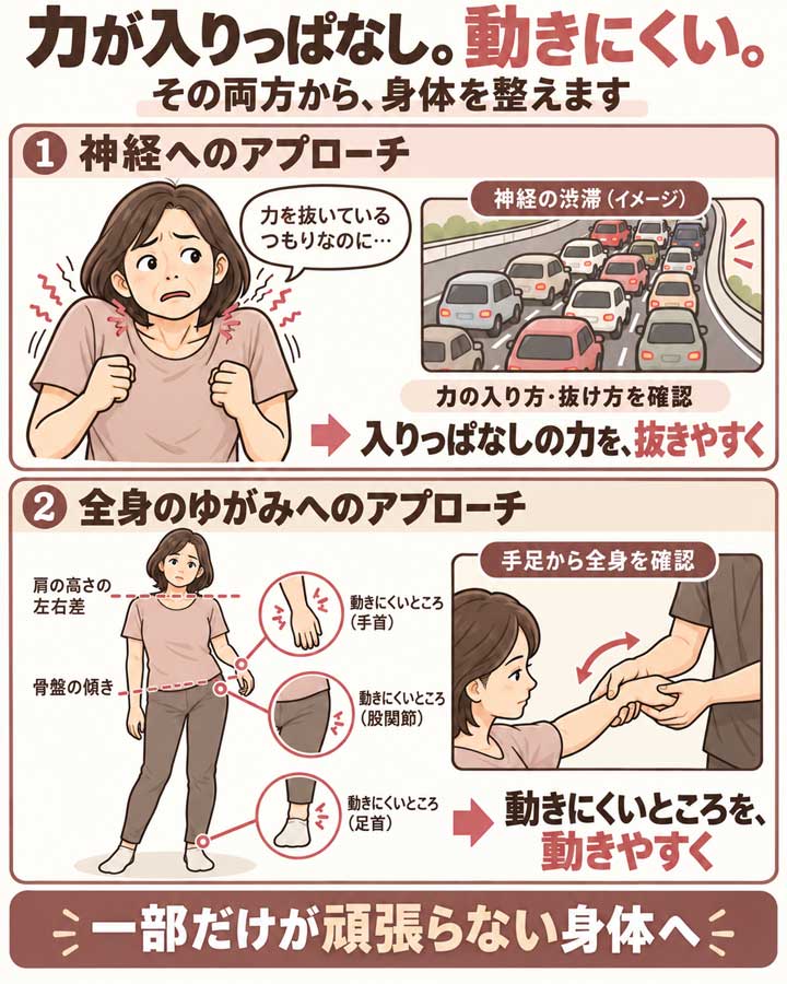 神経の働きから余計な緊張を整える施術と、全身のゆがみや動きにくさを整える施術の二つのアプローチ