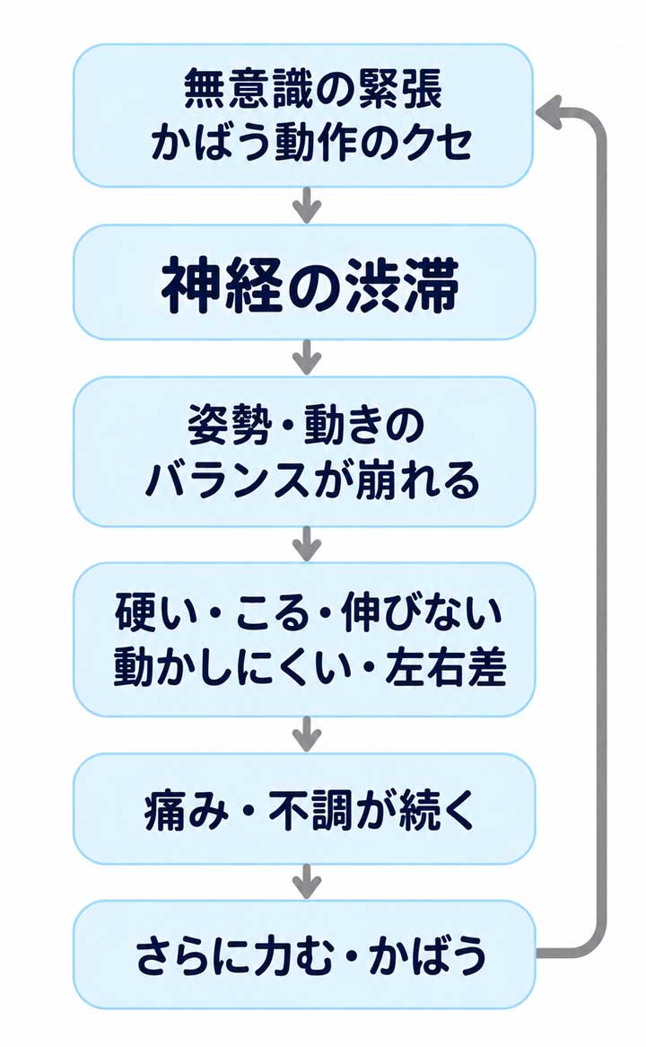 無意識の緊張やかばう動作から神経の渋滞が起こり、姿勢や動きの崩れ、痛みや不調につながる繰り返し